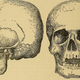 Image: Internet Archive Book Images/Flickr
